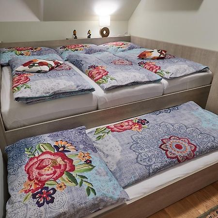 Apartman U Vleku Javor بيتس بود سنيزكو المظهر الخارجي الصورة